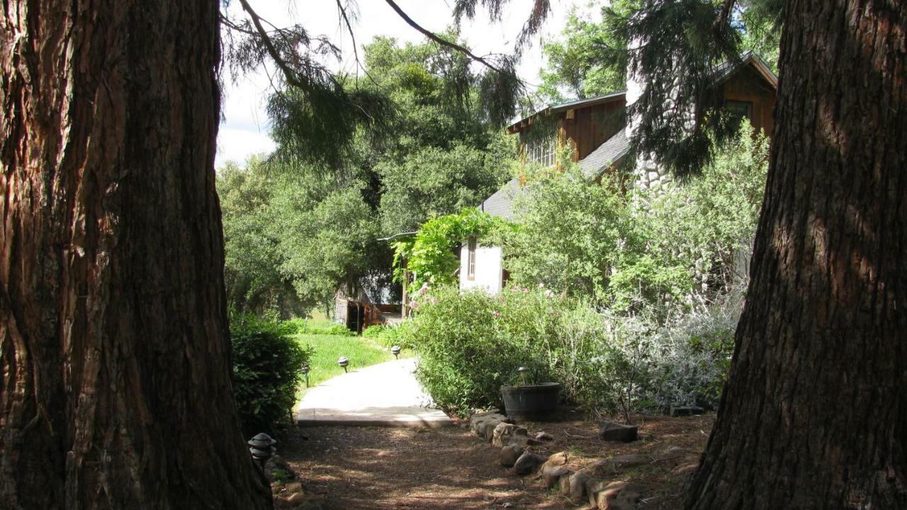 Yosemite Rose Bed And Breakfast Groveland Exterior foto